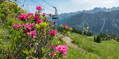 Hotels und Ferienwohnungen im Oberallgäu - Parken & Anreise: kostenpflichtige Parkplätze - Fest zur Alpenrosenblüte auf dem Fellhorn  - Bergfest 2024 zur Alpenrosenblüte im Allgäu
