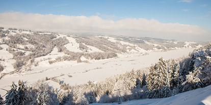 Hotels und Ferienwohnungen im Oberallgäu - Alpsee Bergwelt mit Alpsee Coaster im Winter - Alpsee Bergwelt mit Alpsee Coaster im Winter
