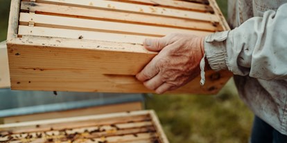 Hotels und Ferienwohnungen im Oberallgäu - Saison: ganzjährig - Der Bienenkorb - Schauimkerei mit Bienenerlebnispfad - Der Bienenkorb - Schauimkerei, Bienenerlebnispfad mit Führungen