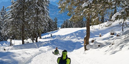 Hotels und Ferienwohnungen im Oberallgäu - Kategorien: Naturerlebnis - Winterrodeln von der Seealpe am Nebelhorn - Winterrodeln von der Seealpe am Nebelhorn
