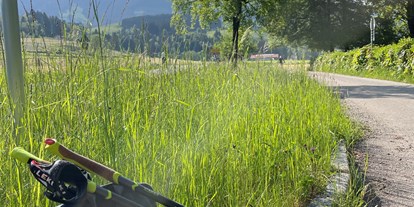 Hotels und Ferienwohnungen im Oberallgäu - Parken & Anreise: Anreise mit ÖPNV möglich - Dein Wanderguide - geführte Wanderungen im Allgäu - Dein Wanderguide - geführte Wanderungen im Allgäu