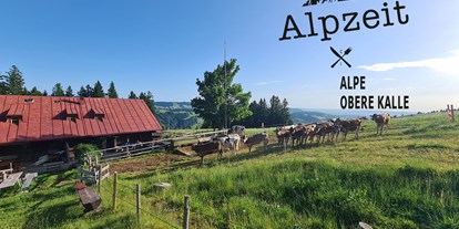 Hotels und Ferienwohnungen im Oberallgäu - Parken & Anreise: E-Ladestation - Kindertag in der Alpsee Bergwelt - Kindererlebnistag in der Alpsee Bergwelt