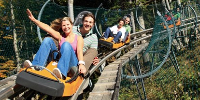 Hotels und Ferienwohnungen im Oberallgäu - Kategorien: Action & Spaß - Alpsee Coaster zwischen Immenstadt und Oberstaufen - Alpsee Coaster in der Alpsee Bergwelt