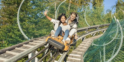 Hotels und Ferienwohnungen im Oberallgäu - Saison: Sommer - Alpsee Coaster zwischen Immenstadt und Oberstaufen - Alpsee Coaster in der Alpsee Bergwelt
