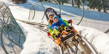 Hotels und Ferienwohnungen im Oberallgäu - Saison: ganzjährig - Alpsee Coaster zwischen Immenstadt und Oberstaufen - Alpsee Coaster in der Alpsee Bergwelt