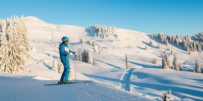 Hotels und Ferienwohnungen im Oberallgäu - Kategorien: Naturerlebnis - Skigebiet Grasgehren - Obermaiselstein / Balderschwang - Sonnen- Skiparadies Grasgehren am Riedbergpass