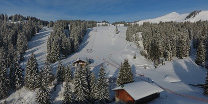 Hotels und Ferienwohnungen im Oberallgäu - Saison: Winter - Skigebiet Grasgehren - Obermaiselstein / Balderschwang - Sonnen- Skiparadies Grasgehren am Riedbergpass