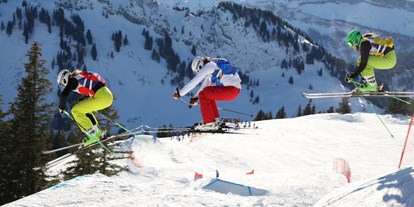 Hotels und Ferienwohnungen im Oberallgäu - Kategorien: Naturerlebnis - Skicross - Bundesstützpunkt Grasgehren  - Sonnen- Skiparadies Grasgehren am Riedbergpass