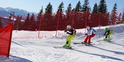 Hotels und Ferienwohnungen im Oberallgäu - Kategorien: Naturerlebnis - Skicross - Bundesstützpunkt Grasgehren  - Sonnen- Skiparadies Grasgehren am Riedbergpass