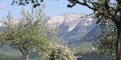 Hotels und Ferienwohnungen im Oberallgäu - Unterkunftsart: Pension, Hotel Garni, Gasthof - Hochgrat bei Oberstaufen - Steibis im Allgäu - Berghof am Paradies