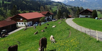Hotels und Ferienwohnungen im Oberallgäu - Ausstattung: Parkplatz - Urlaub auf dem Bauernhof in Rettenberg im Allgäu - Bergbauernhof Rief in Rettenberg im Allgäu