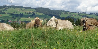 Hotels und Ferienwohnungen im Oberallgäu - Kinder & Familie: Kinderspielplatz - Deutschland - unsere Kühe dürfen noch raus auf die Weide - Bergbauernhof Rief in Rettenberg im Allgäu