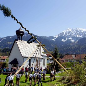 Veranstaltungen im Oberallgäu: Maibaumaufstellen mit Maibaumfest im Allgäu - Oberallgäu - 1. Mai - Maibaumaufstellen im Oberallgäu 