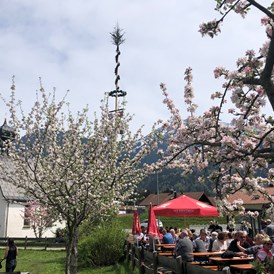 Veranstaltungen im Oberallgäu: Maifeiertag mit Maibaumfest im Allgäu - Oberallgäu - 1. Mai - Maibaumaufstellen im Oberallgäu 