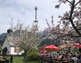 Veranstaltungen im Oberallgäu: Maifeiertag mit Maibaumfest im Allgäu - Oberallgäu - 1. Mai - Maibaumaufstellen im Oberallgäu 
