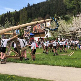 Veranstaltungen im Oberallgäu: Maifeiertag mit Maibauaufstellen im Allgäu - Oberallgäu - 1. Mai - Maibaumaufstellen im Oberallgäu 