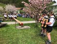Veranstaltungen im Oberallgäu: Maifeiertag mit Maibauaufstellen im Allgäu - Oberallgäu - 1. Mai - Maibaumaufstellen im Oberallgäu 