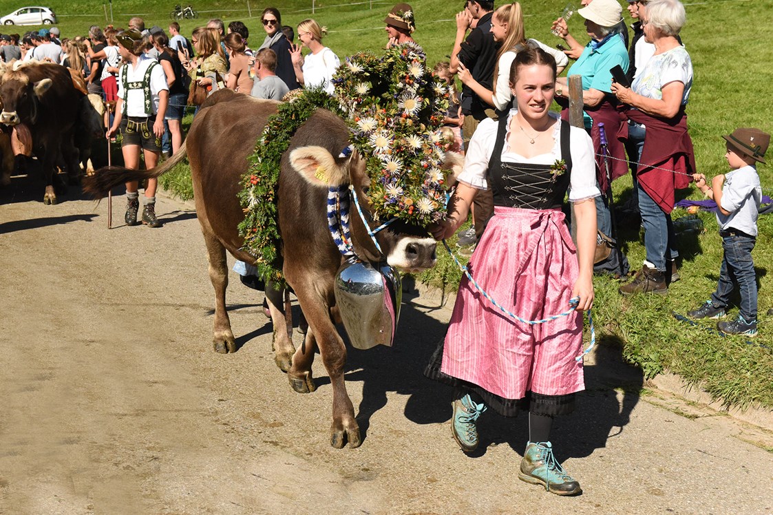 Veranstaltungen im Oberallgäu: Viehscheid in Blaichach - Gunzesried im Oberallgäu - Viehscheid in Gunzesried 2024