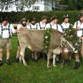 Veranstaltungen im Oberallgäu: Viehscheid im Allgäu - Oberallgäu