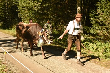 Veranstaltungen im Oberallgäu: Viehscheid im Allgäu - Oberallgäu