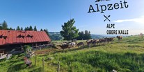 Hotels und Ferienwohnungen im Oberallgäu - Kinder & Familie: Wickelraum - Kindertag in der Alpsee Bergwelt - Kindererlebnistag in der Alpsee Bergwelt