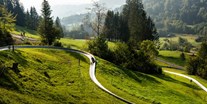 Hotels und Ferienwohnungen im Oberallgäu - Saison: Sommer - Sommerrodelbahn am Hündle in Oberstaufen im Allgäu - Sommerrodelbahn am Hündle in Oberstaufen im Allgäu