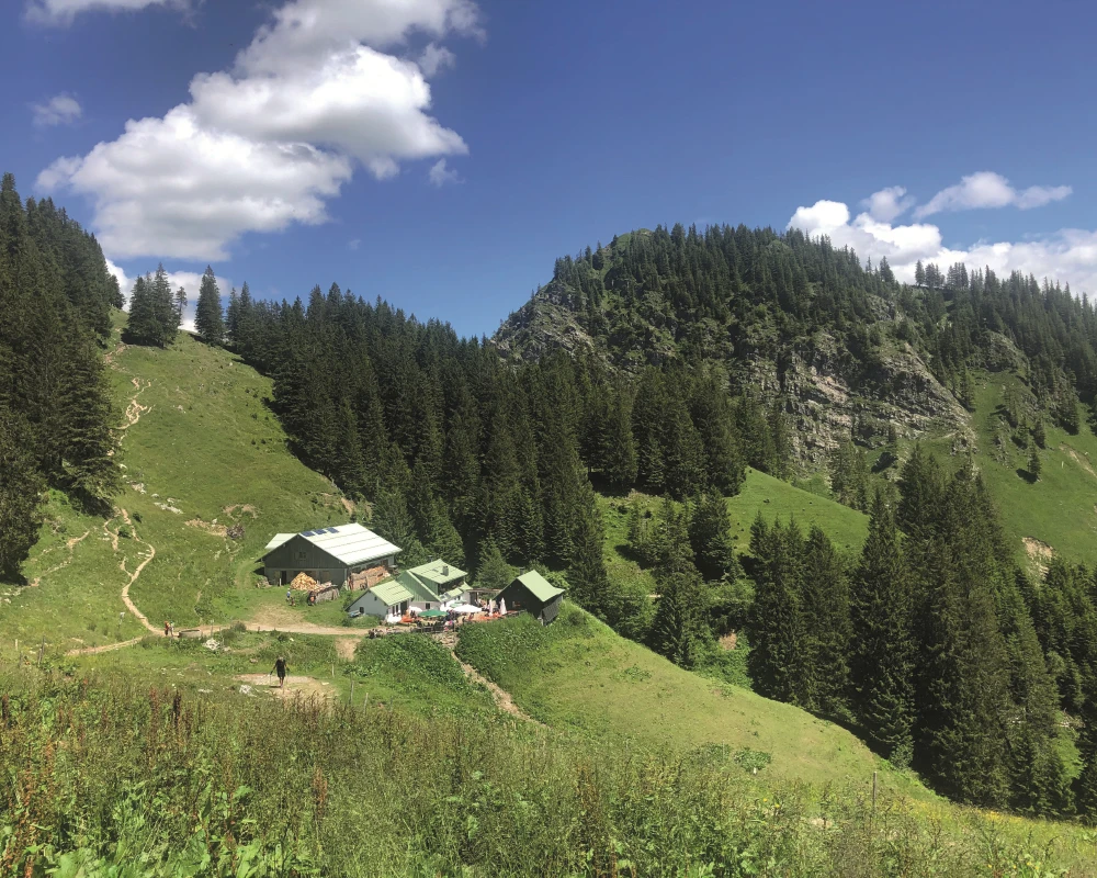 Bad Hindelang - Hirschalpe