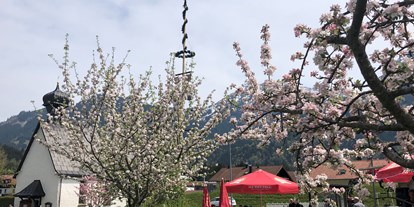 Hotels und Ferienwohnungen im Oberallgäu - Bayern - Maifeiertag mit Maibaumfest im Allgäu - Oberallgäu - 1. Mai - Maibaumaufstellen im Oberallgäu 