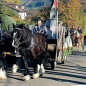 Veranstaltungskalender für das Oberallgäu: Martiniritt mit Pferdesegnung in Blaichach - Martiniritt 2023 mit Pferdesegnung in Blaichach