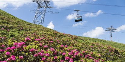 Hotels und Ferienwohnungen im Oberallgäu - Parken & Anreise: Anreise mit ÖPNV möglich - Fest zur Alpenrosenblüte im Allgäu auf dem Fellhorn  - Bergfest 2024 zur Alpenrosenblüte im Allgäu