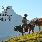 Veranstaltungskalender für das Oberallgäu: Hindelanger Alpzeit - Hindelôngar Alpzit 2024