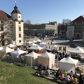 Veranstaltungskalender für das Oberallgäu: Töpfer- und Kunsthandwerkermarkt in Kempten - Töpfer- und Kunsthandwerkermarkt 2023 in Kempten