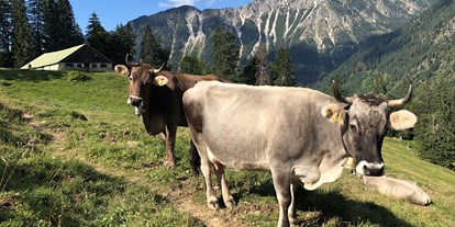 Hotels und Ferienwohnungen im Oberallgäu - Kategorien: Viehscheid - Alpabtrieb in Bad Hindelang - Viehscheid 2024 in Bad Hindelang