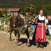Unterkunft im Allgäu - Viehscheid in Blaichach - Gunzesried im Oberallgäu - Viehscheid 2024 in Gunzesried