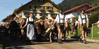 Hotels und Ferienwohnungen im Oberallgäu - Viehscheid in Blaichach - Gunzesried im Oberallgäu - Viehscheid in Gunzesried 2024