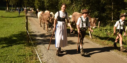 Hotels und Ferienwohnungen im Oberallgäu - Kategorien: Viehscheid - Viehscheid in Oberstdorf im Allgäu - Viehscheid 2024 in Oberstdorf im Allgäu