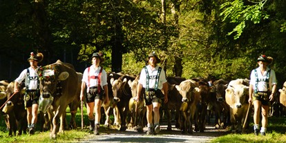 Hotels und Ferienwohnungen im Oberallgäu - Kategorien: Viehscheid - Alpabtrieb in Oberstdorf im Allgäu - Viehscheid 2024 in Oberstdorf im Allgäu