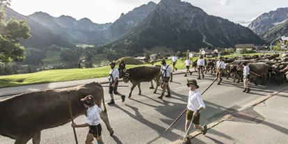 Hotels und Ferienwohnungen im Oberallgäu - Wetter: bei jedem Wetter - Österreich - Viehscheid im Kleinwalsertal  - Viehscheid im Kleinwalsertal 2024 *