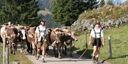 Hotels und Ferienwohnungen im Oberallgäu - Kategorien: Viehscheid - Viehscheid 2024 im Oberallgäu