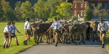 Hotels und Ferienwohnungen im Oberallgäu - Kategorien: Viehscheid - Wertach - Viehscheid / Alpabtrieb in Wertach - Viehscheid in Wertach 2024 mit Krämermarkt