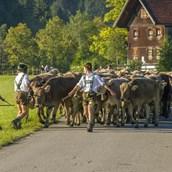 Veranstaltungskalender für das Oberallgäu: Viehscheid / Alpabtrieb in Wertach - Viehscheid in Wertach 2024 mit Krämermarkt