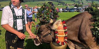 Hotels und Ferienwohnungen im Oberallgäu - Kategorien: Viehscheid - Deutschland - Viehscheid in Kranzegg 2023 - Viehscheid in Kranzegg 2024
