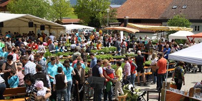 Hotels und Ferienwohnungen im Oberallgäu - Oberallgäu -  Kräutermarkt in Vorderburg - Vorderburger Kräutermarkt 2024