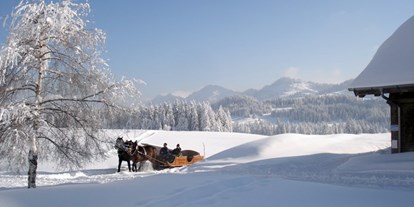 Hotels und Ferienwohnungen im Oberallgäu - Kategorien: Ski- und Schneesportschule - Oberstaufen - Bergwelt Oberstaufen - Outdoor Abenteuer im Allgäu - Bergwelt Oberstaufen im Allgäu