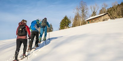 Hotels und Ferienwohnungen im Oberallgäu - Kategorien: Outdoorattraktion - Oberstaufen - Bergwelt Oberstaufen - Outdoor Abenteuer im Allgäu - Bergwelt Oberstaufen im Allgäu