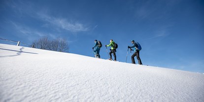Hotels und Ferienwohnungen im Oberallgäu - Oberallgäu - Bergwelt Oberstaufen - Outdoor Abenteuer im Allgäu - Bergwelt Oberstaufen im Allgäu