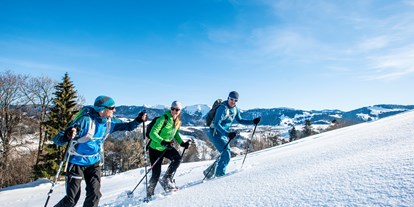Hotels und Ferienwohnungen im Oberallgäu - Bergwelt Oberstaufen - Outdoor Abenteuer im Allgäu - Bergwelt Oberstaufen im Allgäu
