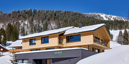 Hotels und Ferienwohnungen im Oberallgäu - Freizeit: Skifahren - Siplinger Suites und Ferienwohnungen Balderschwang im Allgäu - Siplinger Suites in Balderschwang