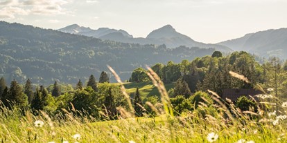Hotels und Ferienwohnungen im Oberallgäu - Reisegrund: Wanderurlaub - Bayern - Alpwelt - Ferienwohnungen in Oberstdorf im Allgäu - Alpwelt - Ferienwohnungen im Herzen von Oberstdorf im Allgäu