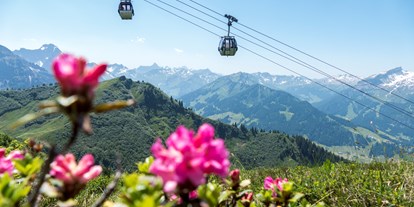 Hotels und Ferienwohnungen im Oberallgäu - Saison: Sommer - Kanzelwandbahn in Riezlern im Kleinwalsertal - Die Kanzelwandbahn - grenzenloses Wander- und Bergerlebnis